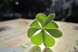 今年最幸运的事